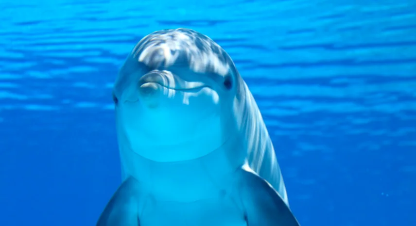 Acquario di Genova e WWF insieme per la biodiversità
